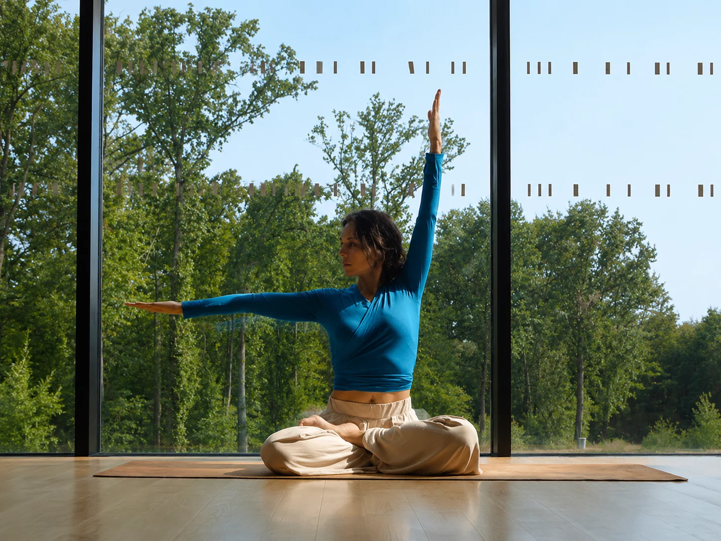 Pratique de Hatha Yoga