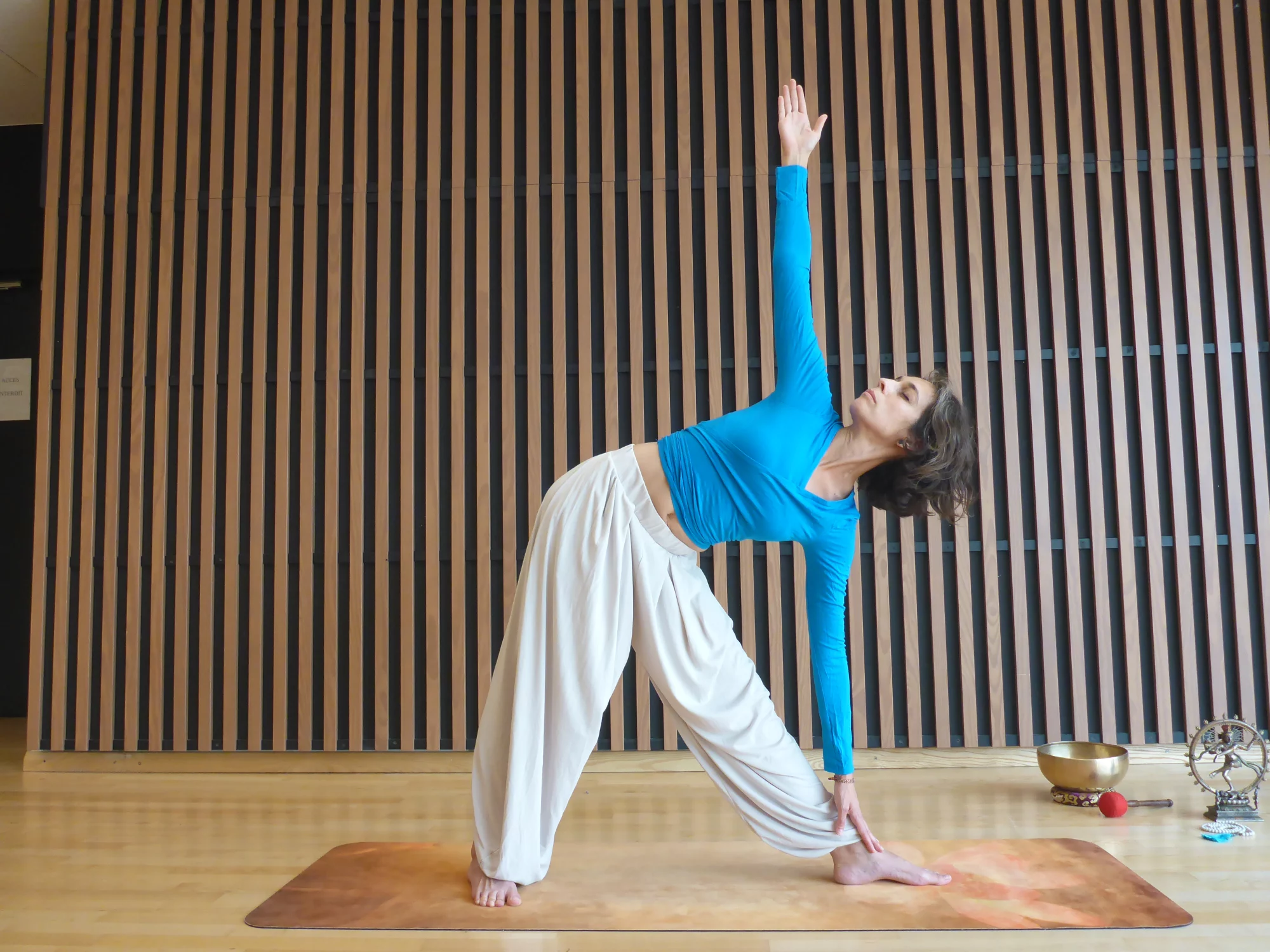 Yoga intégral